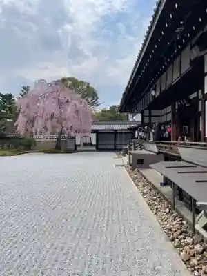 高台寺（高台寿聖禅寺・高臺寺）(京都府)