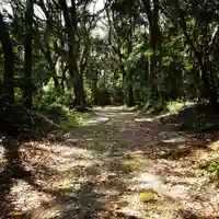 沼尾神社の自然
