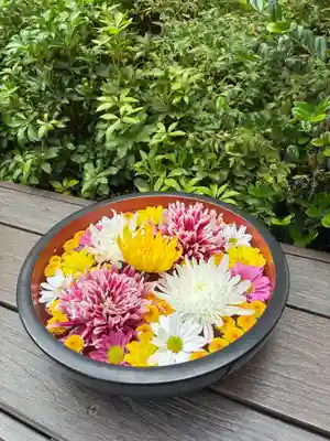 増上寺塔頭 三縁山 宝珠院(東京都)