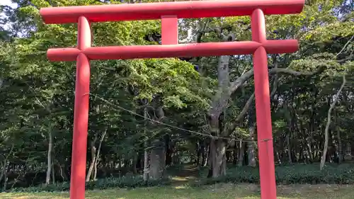 稲荷神社の鳥居