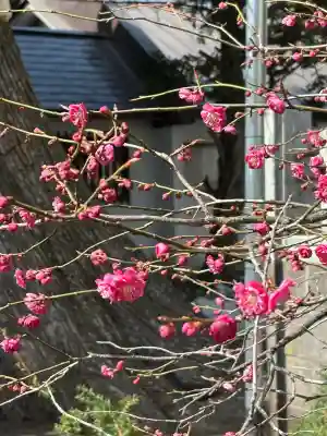 豊平神社の{uncategorized: "未分類", other: "その他", undefined: "問題あり", building: "その他建物", grave: "お墓", sacred_gate: "鳥居", guardian: "狛犬", statue: "像", buddha: "仏像", history: "歴史", nature: "自然", garden: "庭園", animal: "動物", pagoda: "塔", temizu: "手水舎", mountain_gate: "山門・神門", sanctuary: "本殿・本堂", subordinate: "末社・摂社", art: "芸術", scenery: "景色", jizo: "地蔵", ema: "絵馬", goshuin: "御朱印", omikuji: "おみくじ", items: "授与品その他", amulet: "お守り", goshuincho: "御朱印帳", eats: "食事", festival: "お祭り", votive_dance: "神楽", shichigosan: "七五三参", wedding: "結婚式", experience: "体験その他", initially: "初詣", around: "周辺", anti_infection: "感染症対策"}