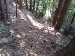 御嶽神社/駒形神社の自然