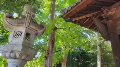 日招八幡大神社(愛媛県)