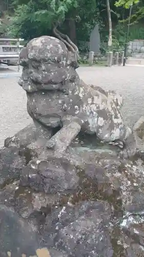 貫井神社の狛犬