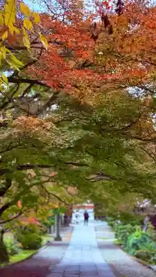 養源院(京都府)