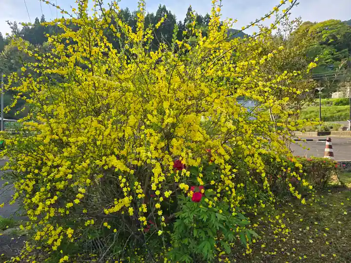 地蔵院 (室生寺塔頭)(奈良県)