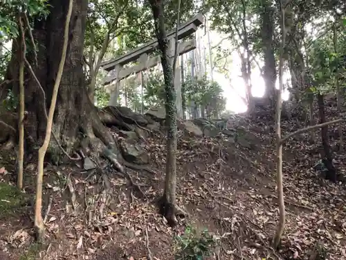 石井神社の鳥居