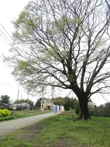 伏木香取神社(茨城県)