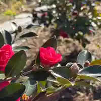 高司神社〜むすびの神の鎮まる社〜(福島県)