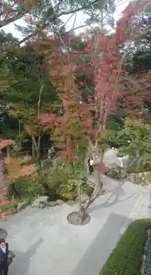 宝満宮竈門神社(福岡県)