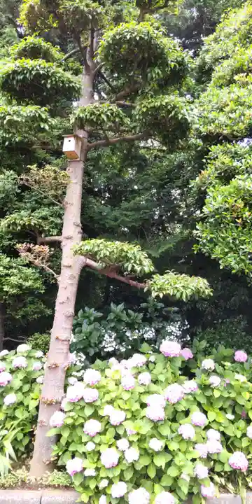 金ヶ作熊野神社の自然