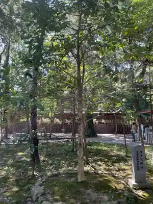 伊弉諾神宮(兵庫県)