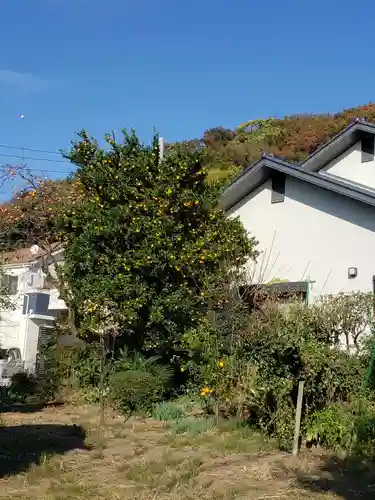日枝神社の自然