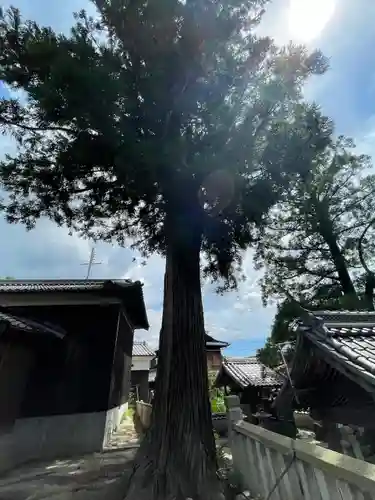 御坂神社(兵庫県)