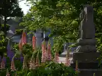 極楽山 浄土寺の自然