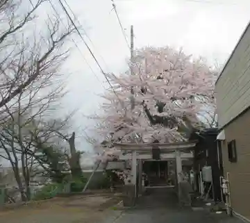 藤木大明神(岩手県)