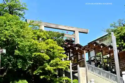 伊勢山皇大神宮の鳥居