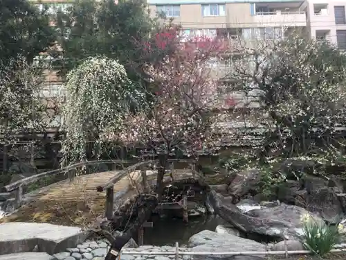 湯島天満宮の庭園