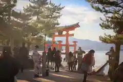 厳島神社の鳥居