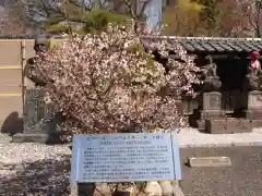 石上寺の歴史