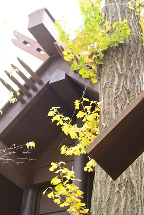 高円寺氷川神社のその他建物