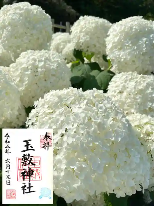 玉敷神社の御朱印