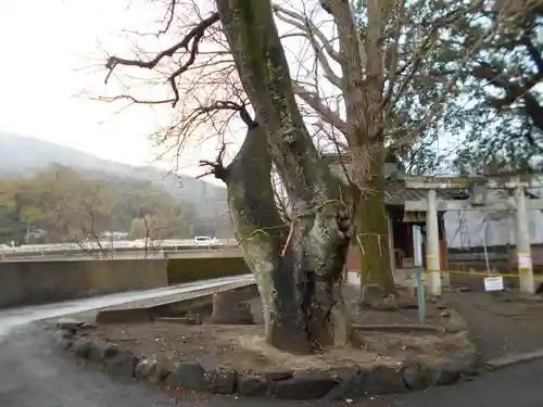 高橋東神社(熊本県)