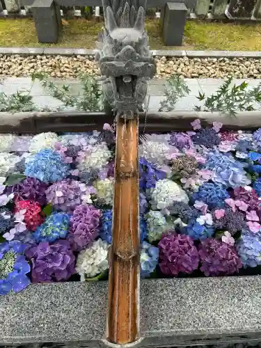 粟井神社(香川県)