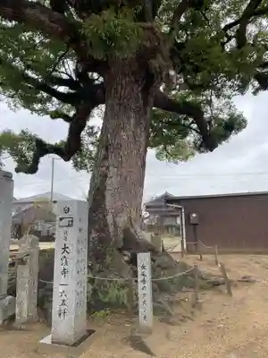 長尾寺(香川県)