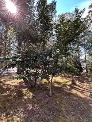 山梨縣護國神社(山梨県)