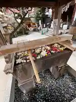 鳩森八幡神社の手水舎