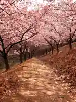 妙義神社の{uncategorized: "未分類", other: "その他", undefined: "問題あり", building: "その他建物", grave: "お墓", sacred_gate: "鳥居", guardian: "狛犬", statue: "像", buddha: "仏像", history: "歴史", nature: "自然", garden: "庭園", animal: "動物", pagoda: "塔", temizu: "手水舎", mountain_gate: "山門・神門", sanctuary: "本殿・本堂", subordinate: "末社・摂社", art: "芸術", scenery: "景色", jizo: "地蔵", ema: "絵馬", goshuin: "御朱印", omikuji: "おみくじ", items: "授与品その他", amulet: "お守り", goshuincho: "御朱印帳", eats: "食事", festival: "お祭り", votive_dance: "神楽", shichigosan: "七五三参", wedding: "結婚式", experience: "体験その他", initially: "初詣", around: "周辺", anti_infection: "感染症対策"}