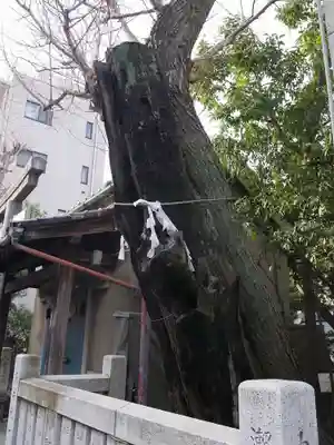 江島杉山神社のその他建物