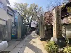 大雄寺(東京都)