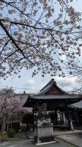 吒枳尼天（法伝寺）(京都府)