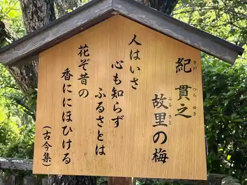 長谷寺(奈良県)