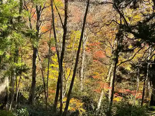 戸隠神社奥社(長野県)