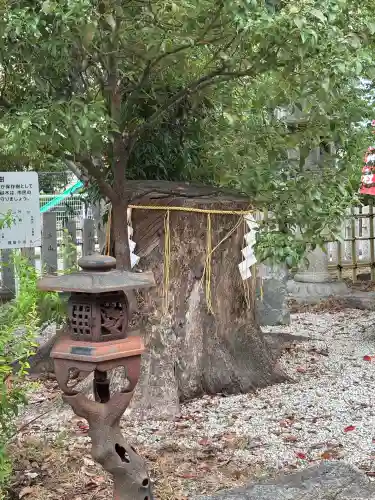 大利神社(大阪府)
