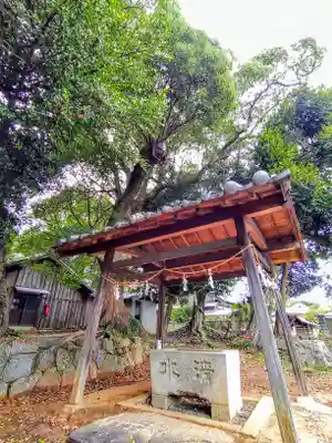 白鳥神社(白鳥町)の手水舎