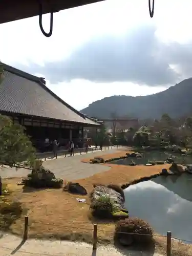 天龍寺の庭園