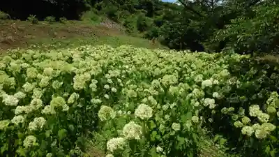陽林寺(福島県)