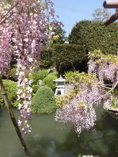 子安地蔵寺の庭園