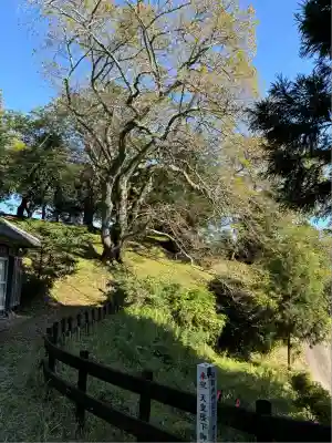 高木神社(福島県)