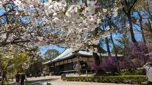 仁和寺(京都府)