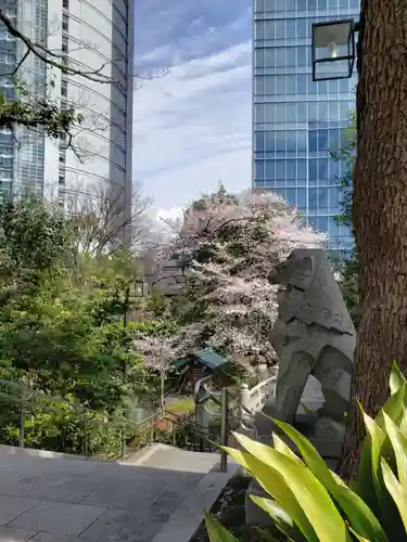 東郷神社の景色