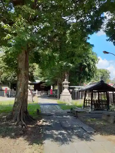 八雲神社 (通五丁目)(栃木県)