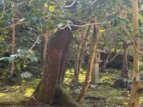 霊鑑寺門跡(京都府)