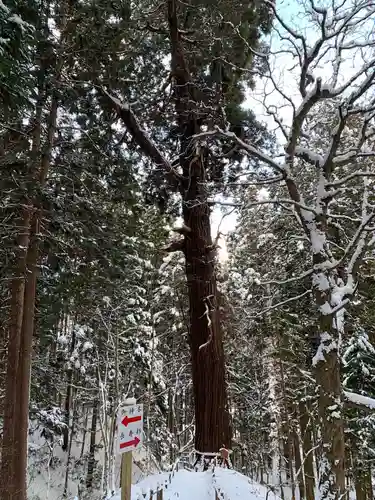 志和稲荷神社の自然