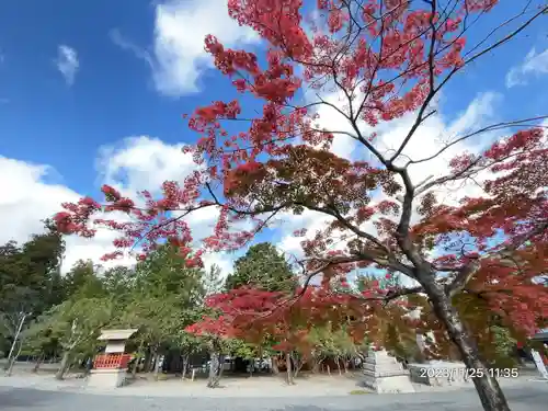 美濃國一宮　南宮大社(岐阜県)