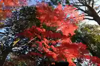 國祖神社の自然